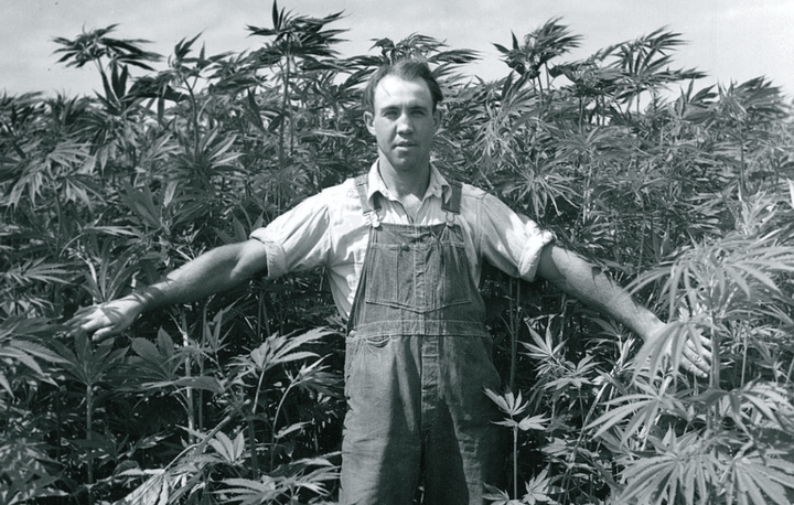 Hemp History Facts to Throw Around at your Holiday Dinner - UnCanny Wellness