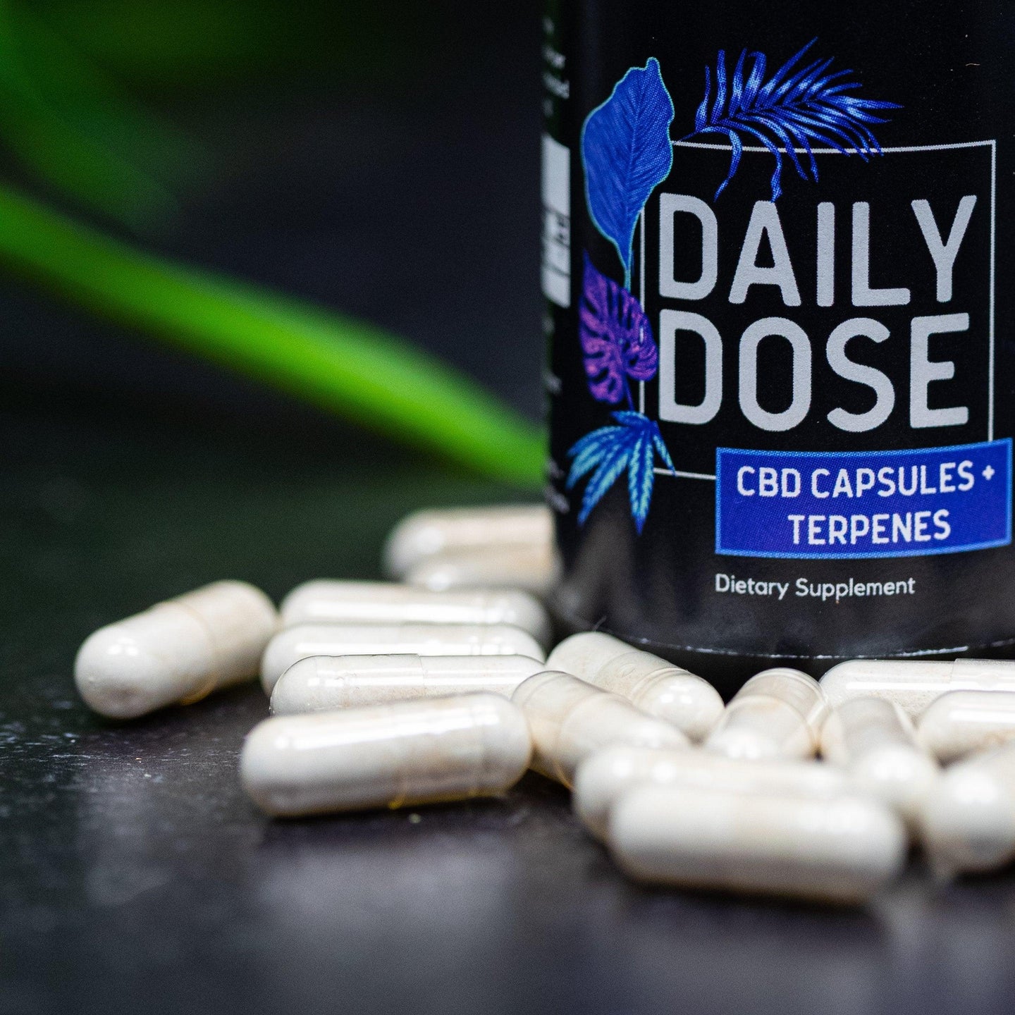 Daily Dose CBD Capsules - UnCanny Wellness