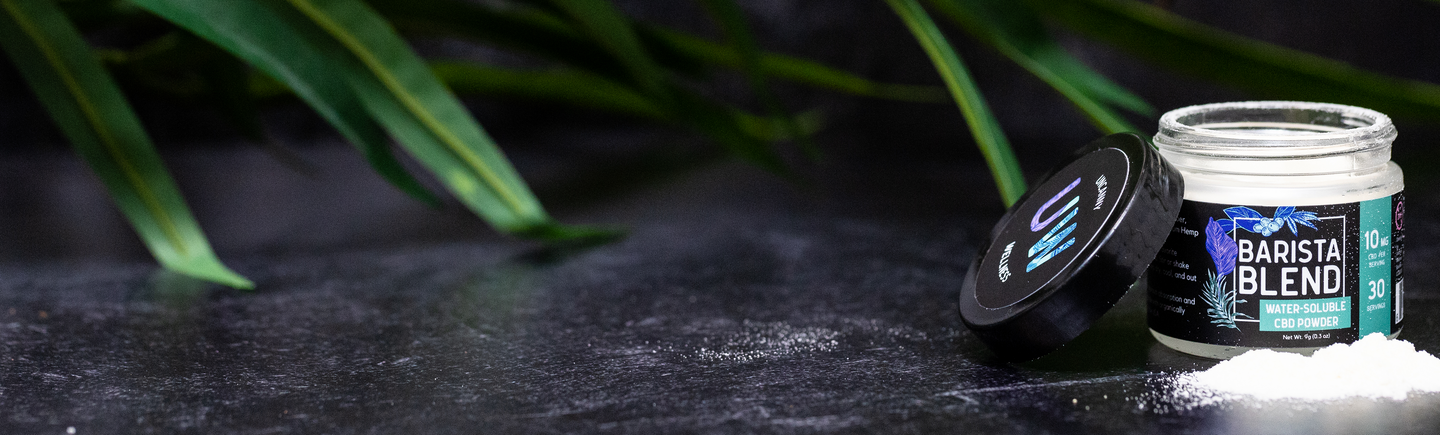 Barista Blend: CBD Powder